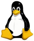¿El Kernel 2.6 plagado de errores?