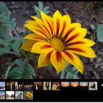 flickrSLiDR, excelente widget para embeber tus fotos de Flickr