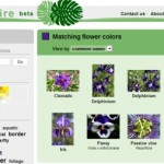 Plantwire, buscador de fotos de plantas