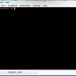¿Qué es una terminal o consola de texto?